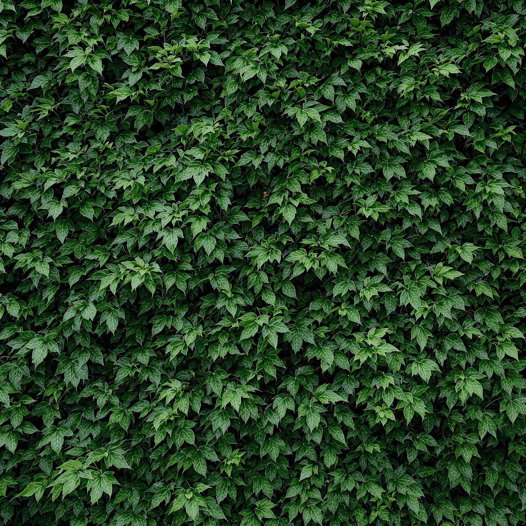 Background 4